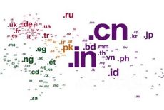 4网上冲浪系列_域名种类与国家区别