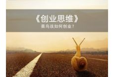 创业思维（创业者分哪几类）